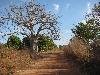 La route de Diareng