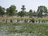Pêche au kono