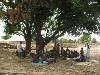 L'arbre kabéfo