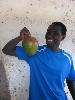 Plaisir mango