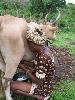 Fatoumata et sa vache