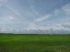 Verte saison