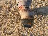 Soulier crocodile